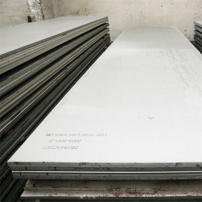 Piatto laminato a caldo su misura AISI del piatto 304 ss di acciaio inossidabile di 4mm